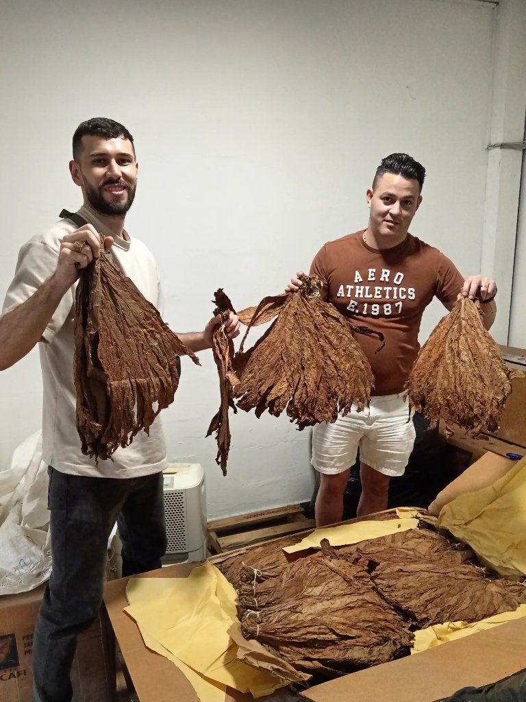 Tobacco Leaf Inspection